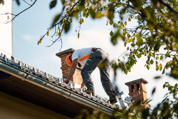 Residential Roof Replacement in Dillon, SC